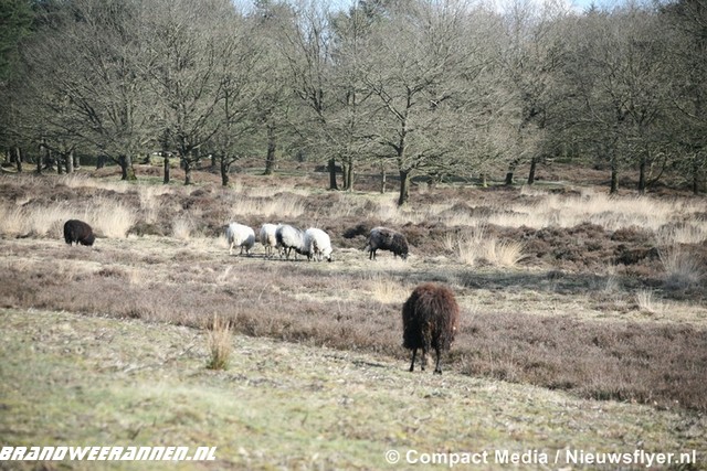 © Brandweer Annen